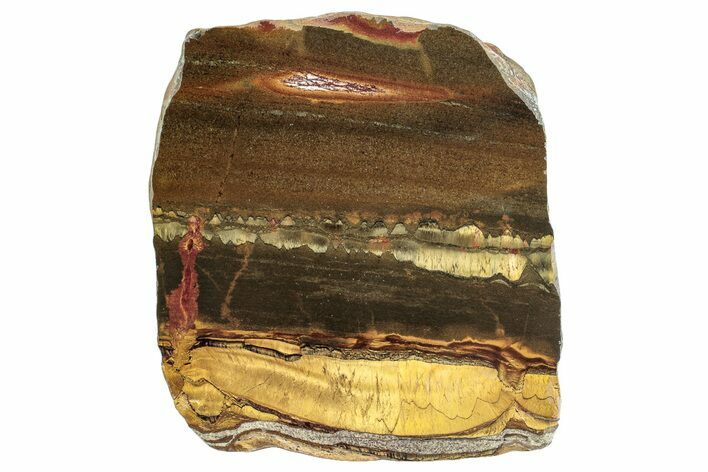 Polished Packsaddle Tiger Eye Slab - Western Australia #260864